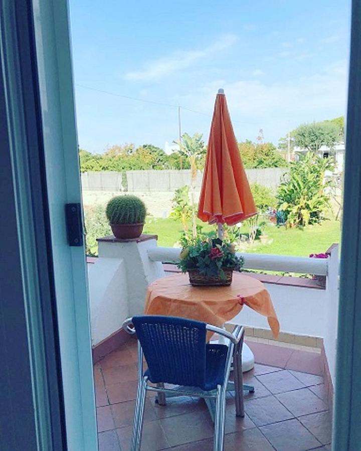 Hotel Mareco Resort Ischia Island 외부 사진